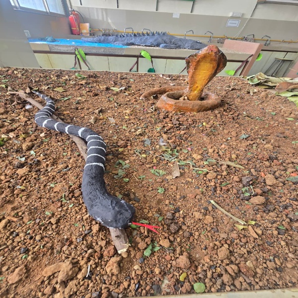 Zooventure 2025